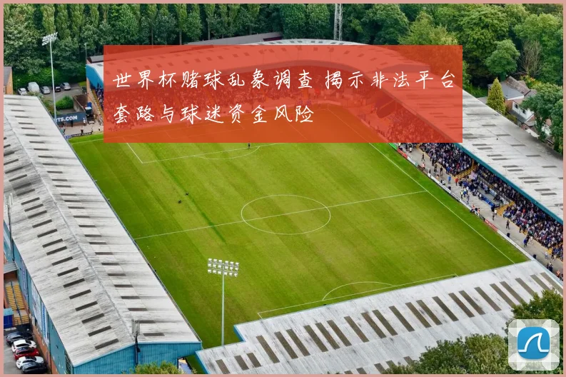 世界杯赌球乱象调查 揭示非法平台套路与球迷资金风险