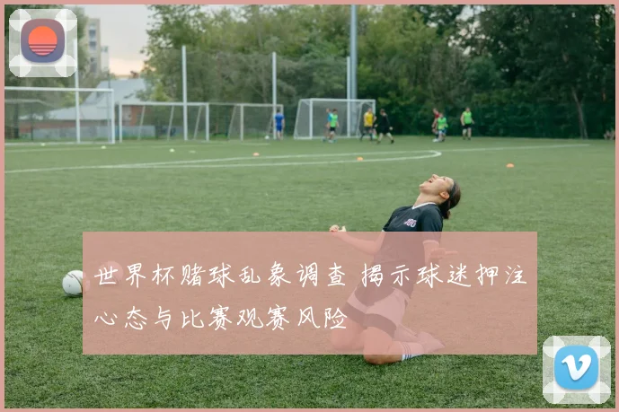 世界杯赌球乱象调查 揭示球迷押注心态与比赛观赛风险