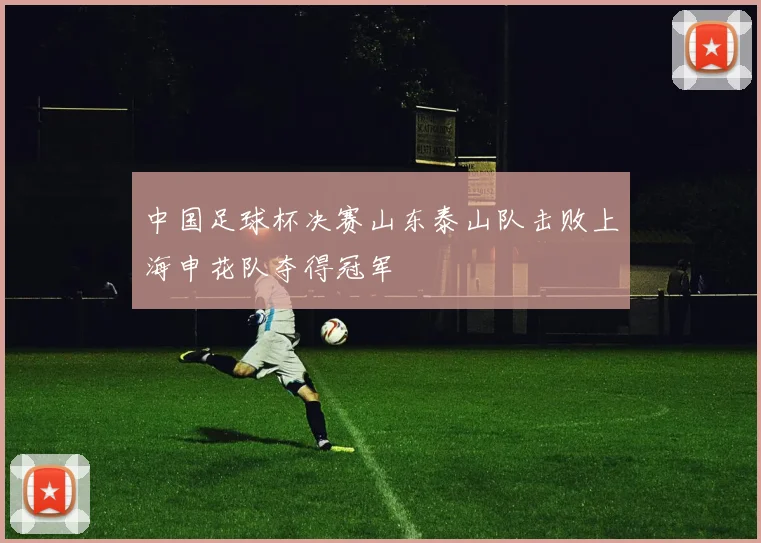 中国足球杯决赛山东泰山队击败上海申花队夺得冠军