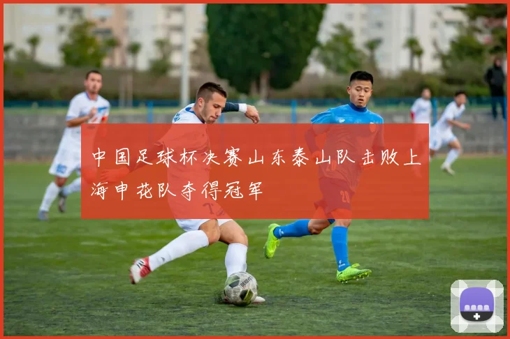 中国足球杯决赛山东泰山队击败上海申花队夺得冠军