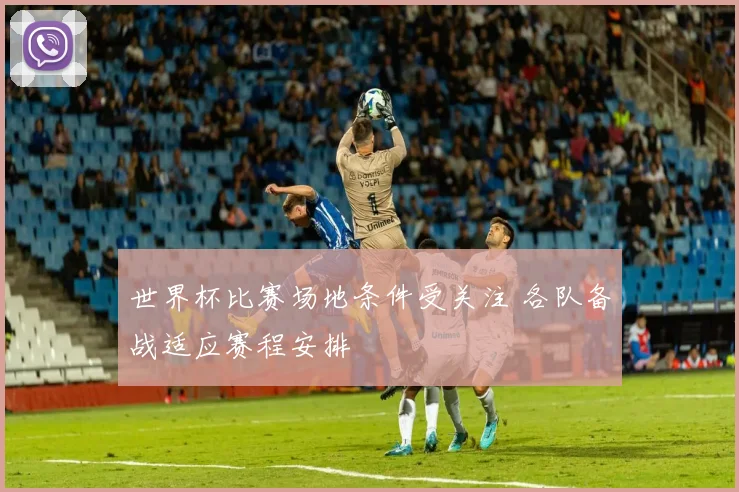 世界杯比赛场地条件受关注 各队备战适应赛程安排