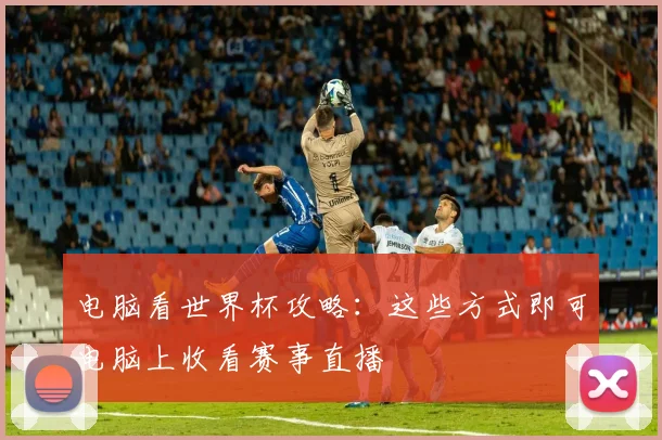 电脑看世界杯攻略：这些方式即可电脑上收看赛事直播