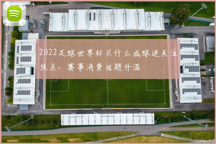 2022足球世界杯买什么成球迷关注焦点，赛事消费话题升温