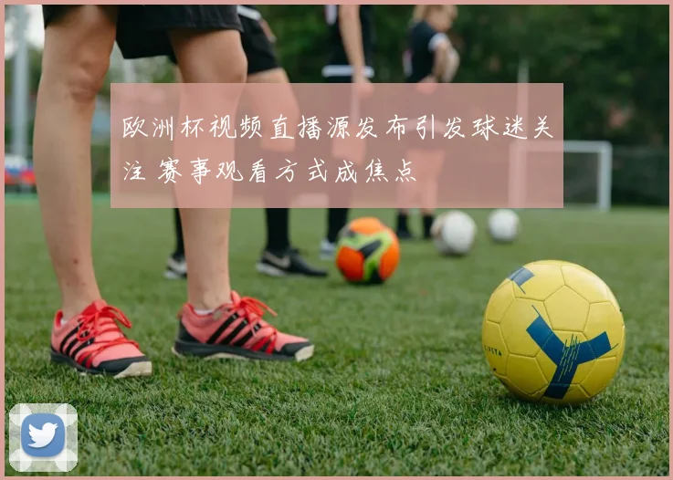 欧洲杯视频直播源发布引发球迷关注 赛事观看方式成焦点