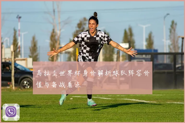 乌拉圭世界杯身价解析球队阵容价值与备战看点