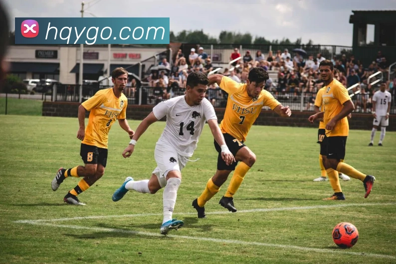 App Interface Preview